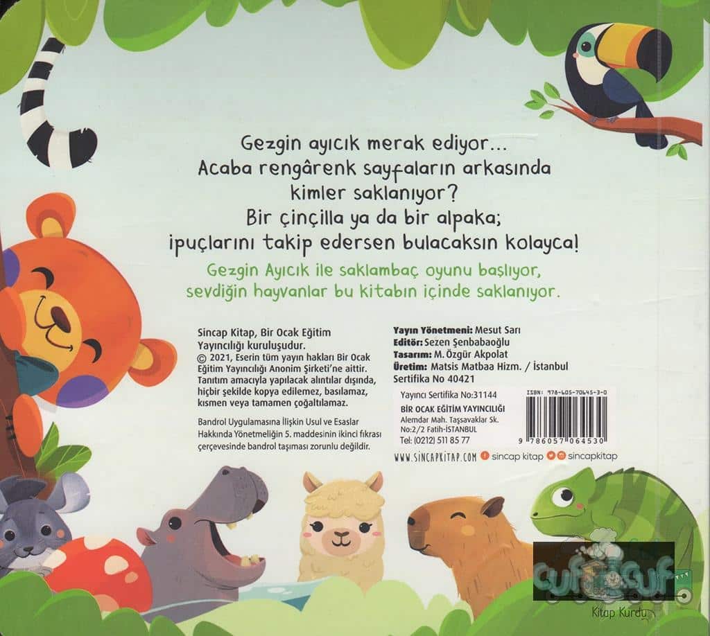 Bak-Bul Sobe Gezgin Ayıcık - Türkische Kinderbücher - CufCuf