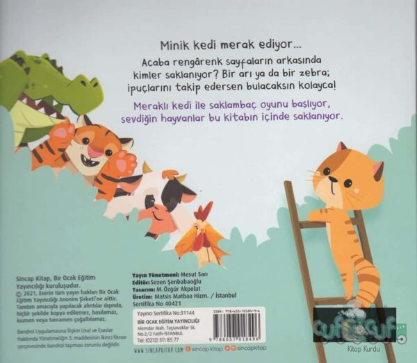 Bak-Bul Sobe Meraklı Kedi – Bild 3