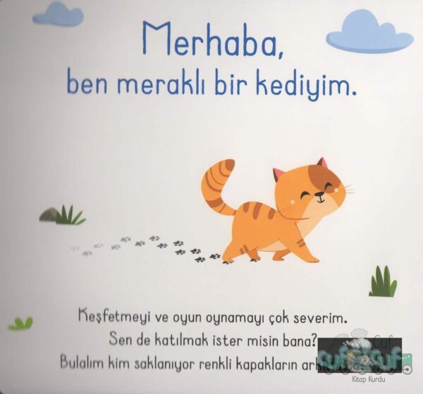 Bak-Bul Sobe Meraklı Kedi – Bild 2