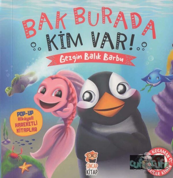 Bak Burda Kim Var - Gezgin Balık Barbu - Pop-Up