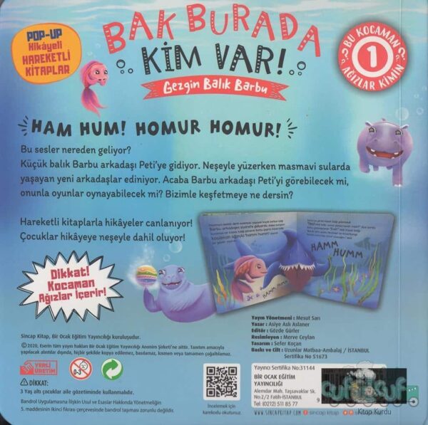 Bak Burda Kim Var - Gezgin Balık Barbu - Pop-Up – Bild 2