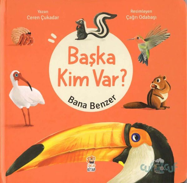 Başka Kim Var ? - Bana Benzer