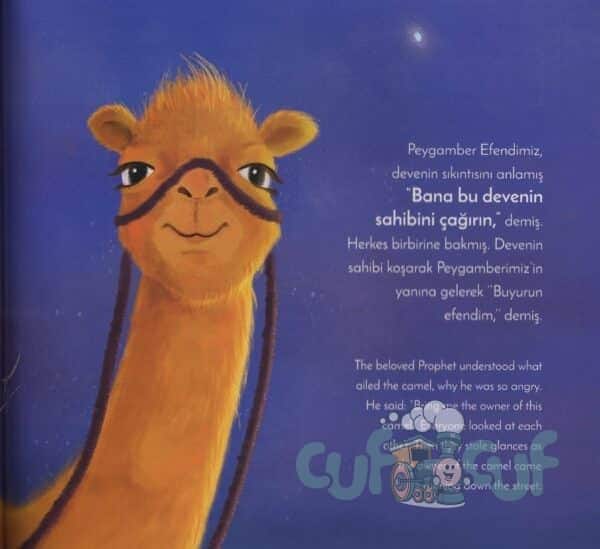 Bu Deve Neden Kızdı / Why Is This Camel So Angry – Bild 2