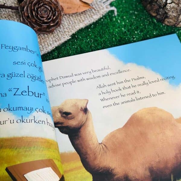 Davud Peygamber / Prophet Dawud – Bild 3