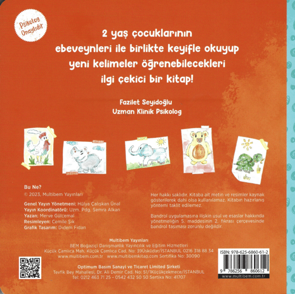 Bu Ne? – Bild 3