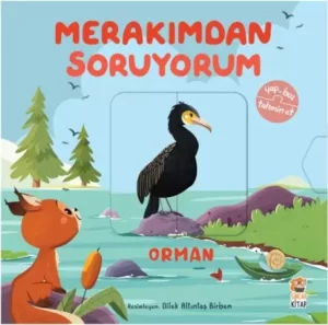 Merakımdan Soruyorum / Orman